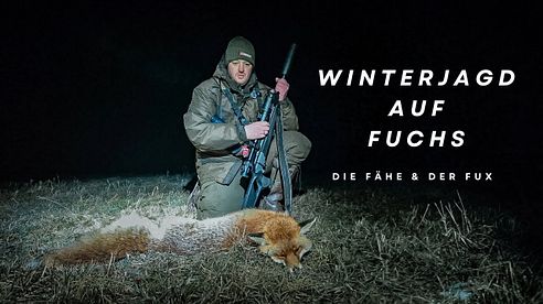 WINTERJAGD AUF FUCHS. DIE FÄHE & DER FUX