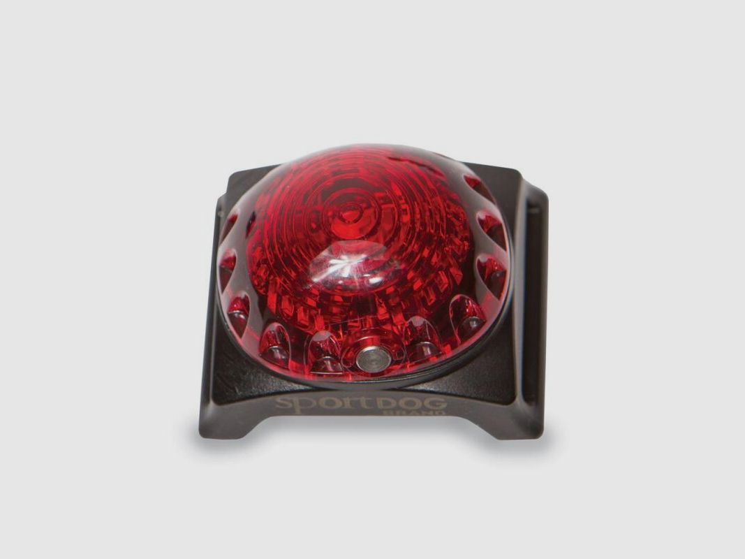 Sport Dog Hunde Ortungsleuchte