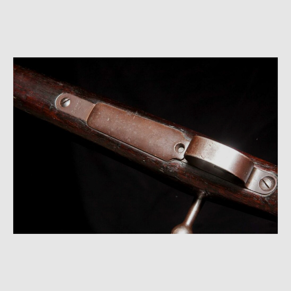 Loewe Berlin 1894 1894 Brasilien