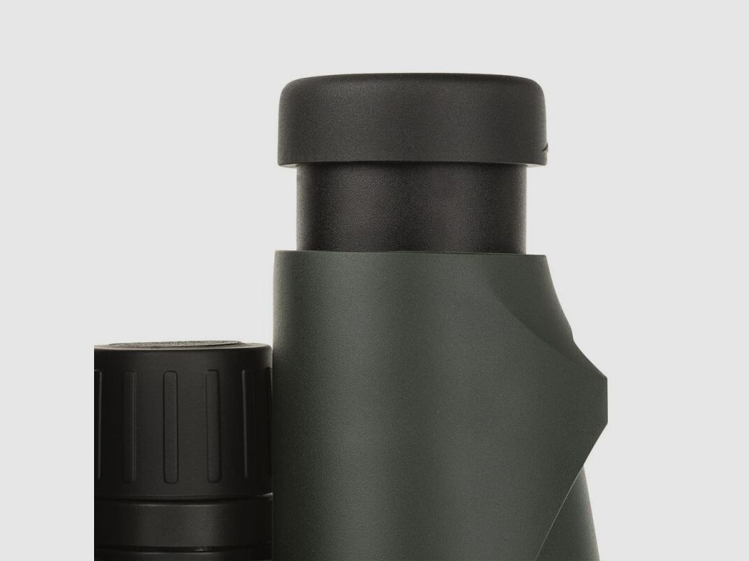 Dörr Fernglas Danubia WildView 8x56 grün