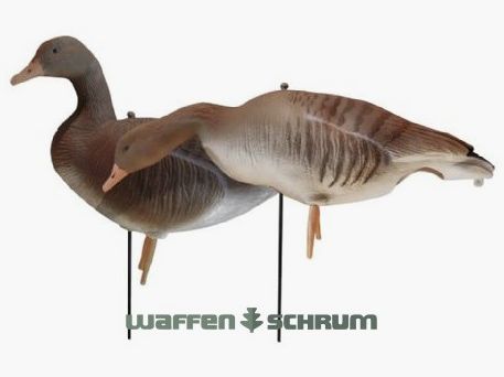 JVS Global Outdoor Canards Gris Corps Complet Pack de 6 Flocké