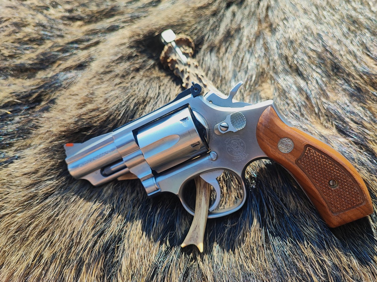 Smith & Wesson 686