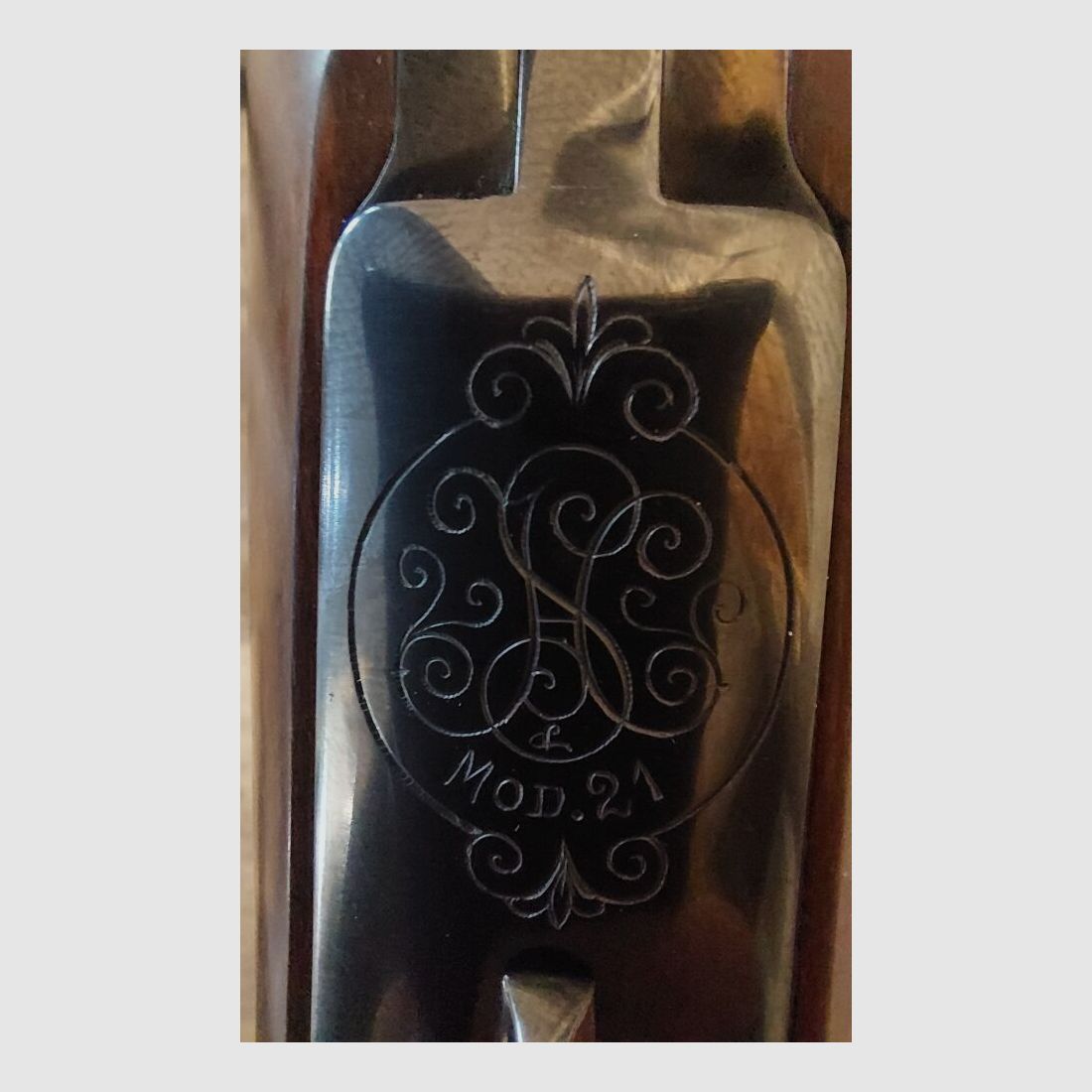 Wiethaup, Schwaney Modèle 21