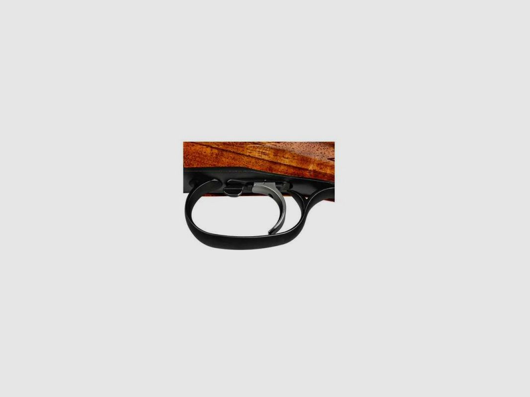 BLASER F16 GAME 12/76 LL 71 CM WOOD CLASS 4, image 4 of 5