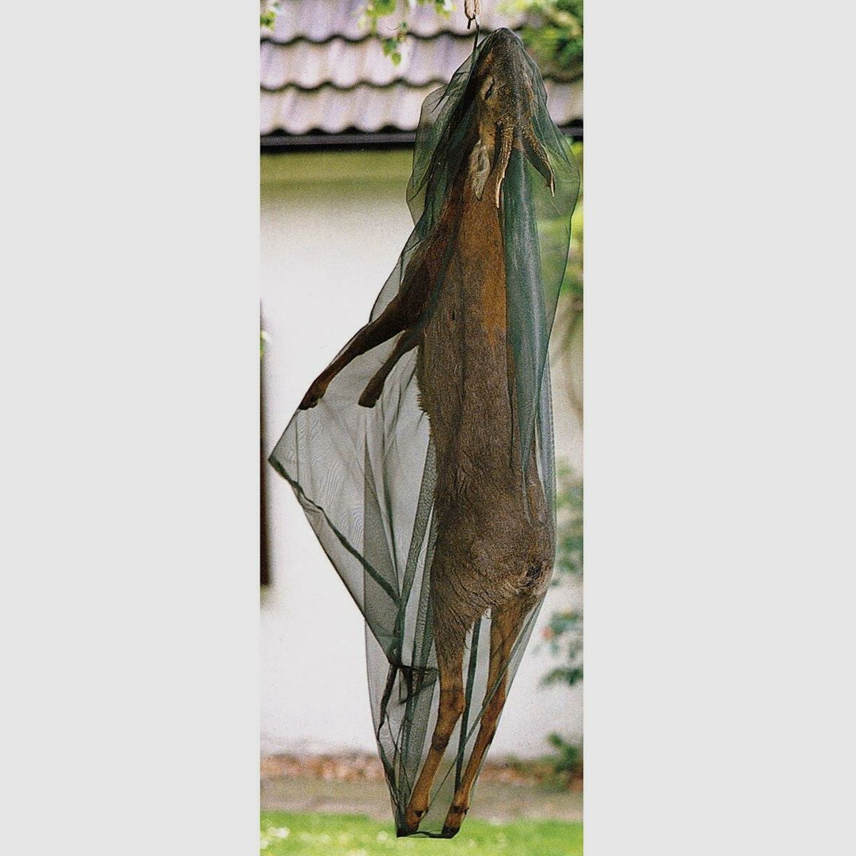 Rete di protezione per insetti