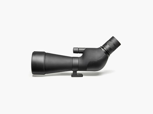 NS 20-60x80 ED inception