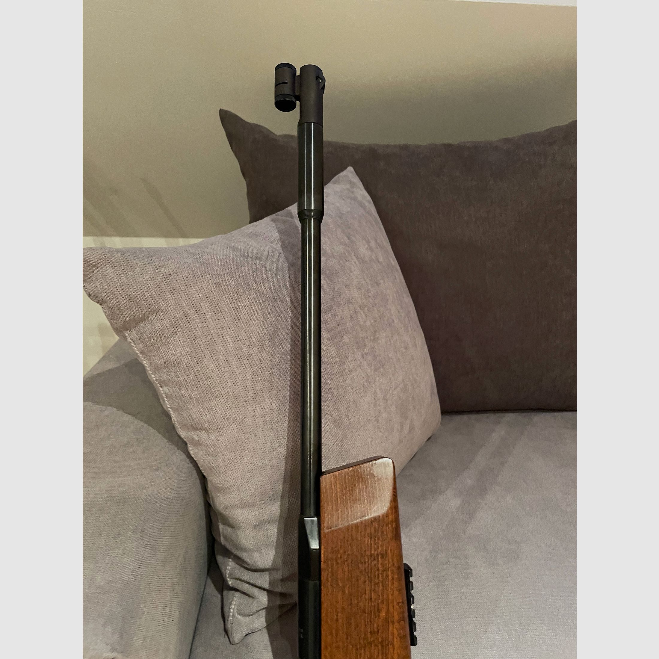 Fachwerkbau 300 S  4,5 mm Diabolo 