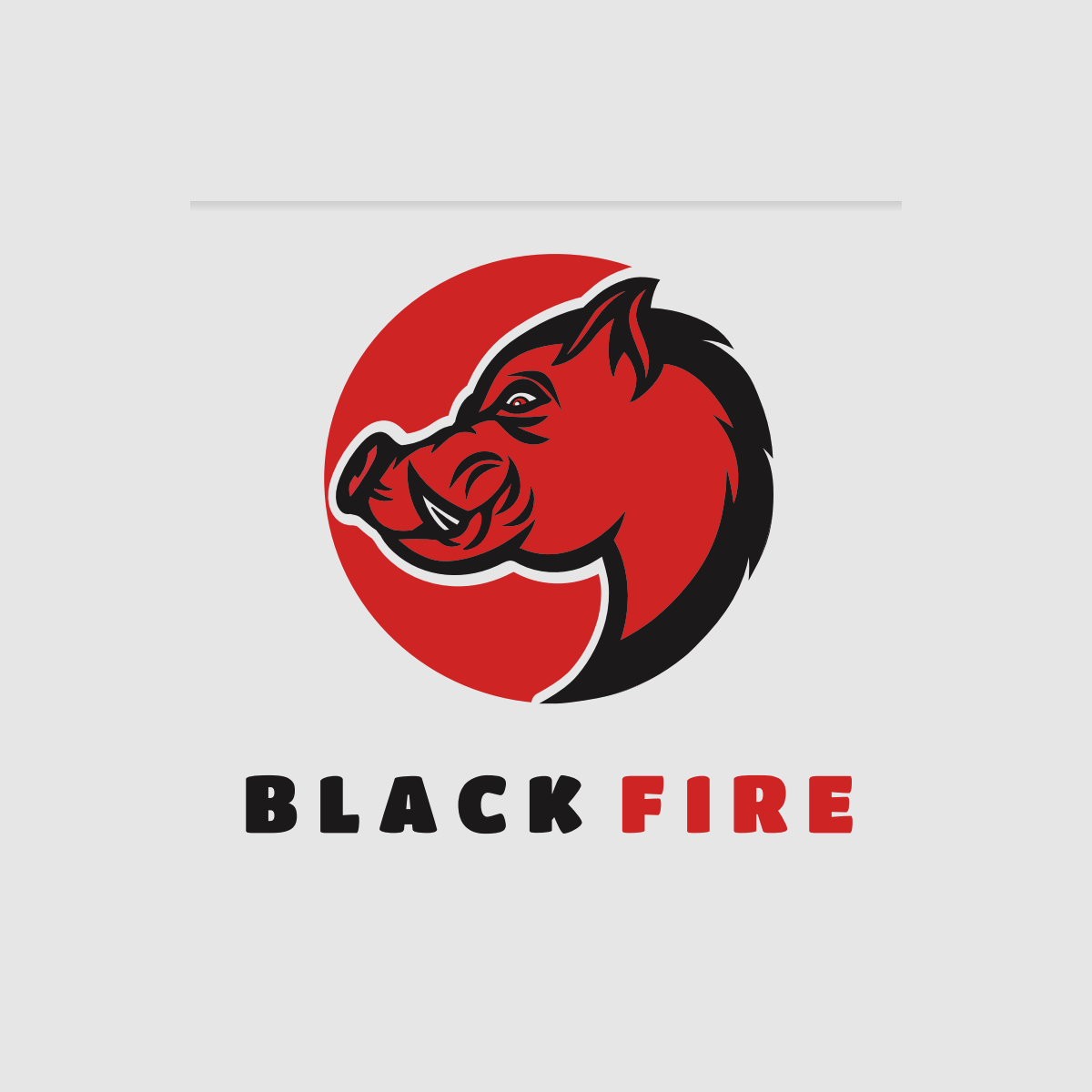 BLACK FIRE Special Salz als Box 6x0,5 kg