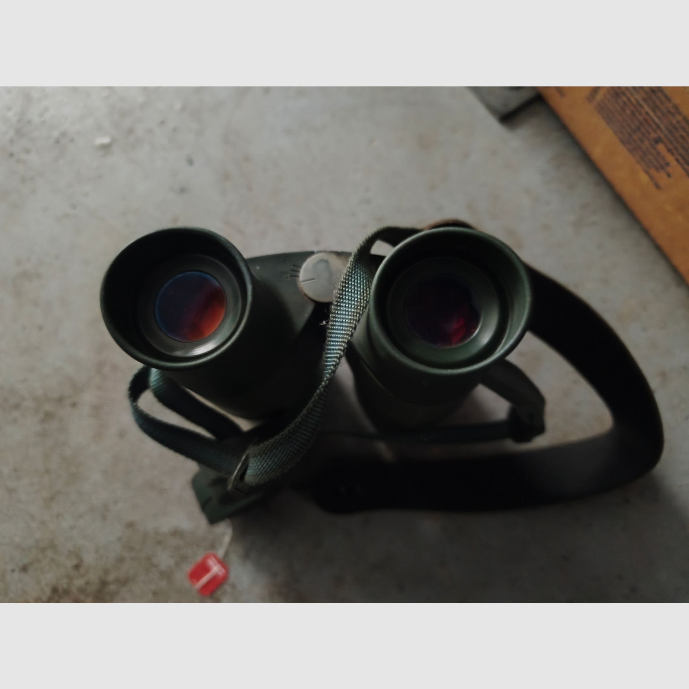Purchase request: Zeiss binoculars 10x56 B T P