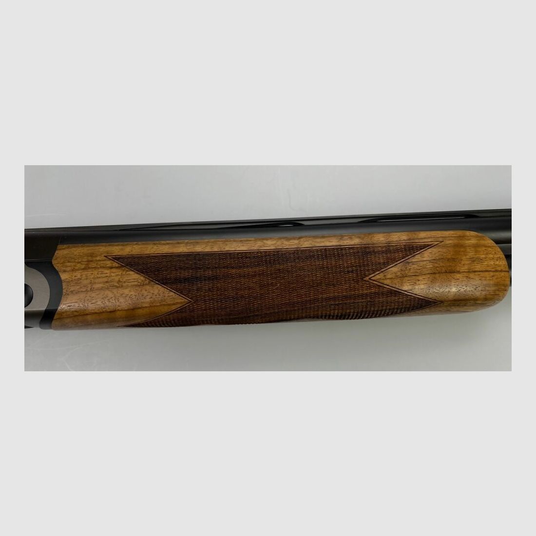 Blaser F16 Game
