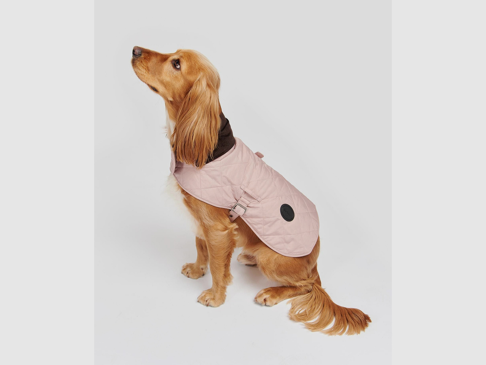 Barbour Hundemantel gesteppt