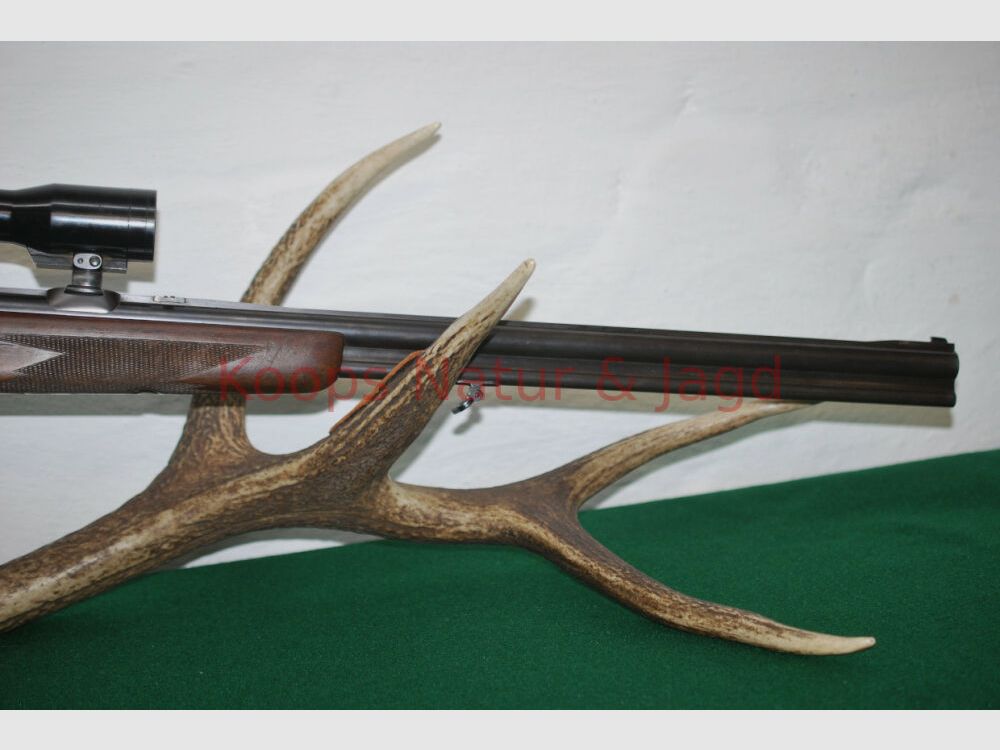 Sauer & Sohn 54