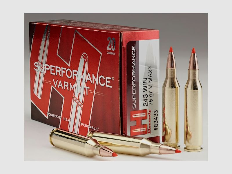 Hornady Superformance Varmint .243 Win. 75GR V-Max 20 cartuchos