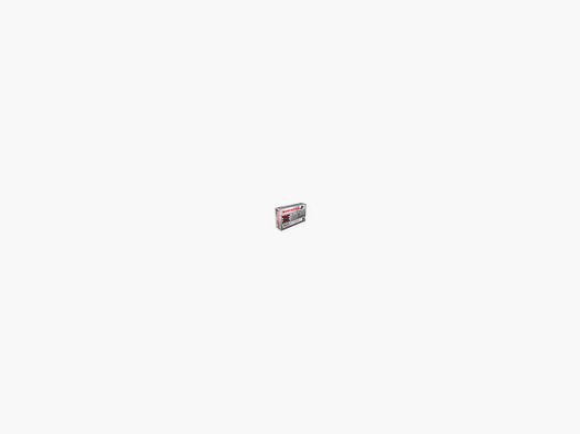 JACKETED HOLLOW POINT - WINCHESTER | 45-70 gouvernement, 19.44 g, Boite de 20