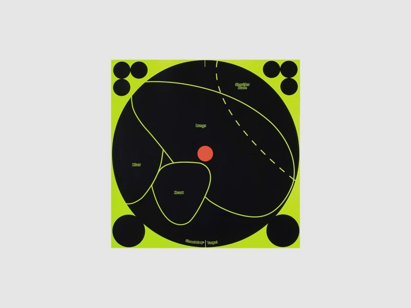 Hirsch/Koyote Vital Target