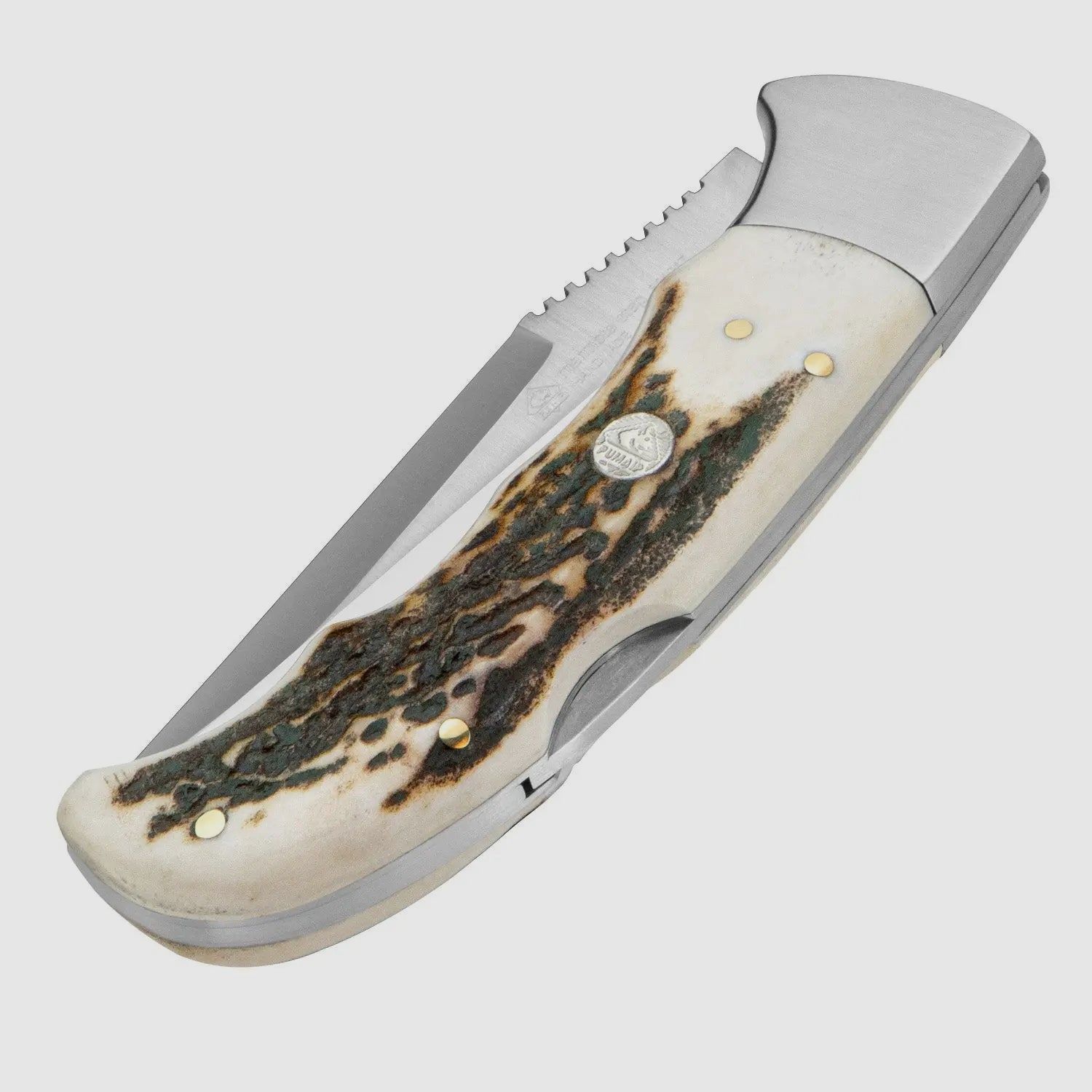 PUMA IP marmota, stag