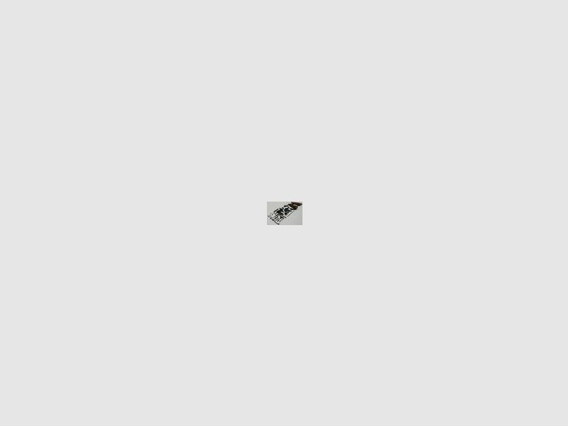 Freier Teilesatz/Parts Kit Taurus Raging Bull 8,5"