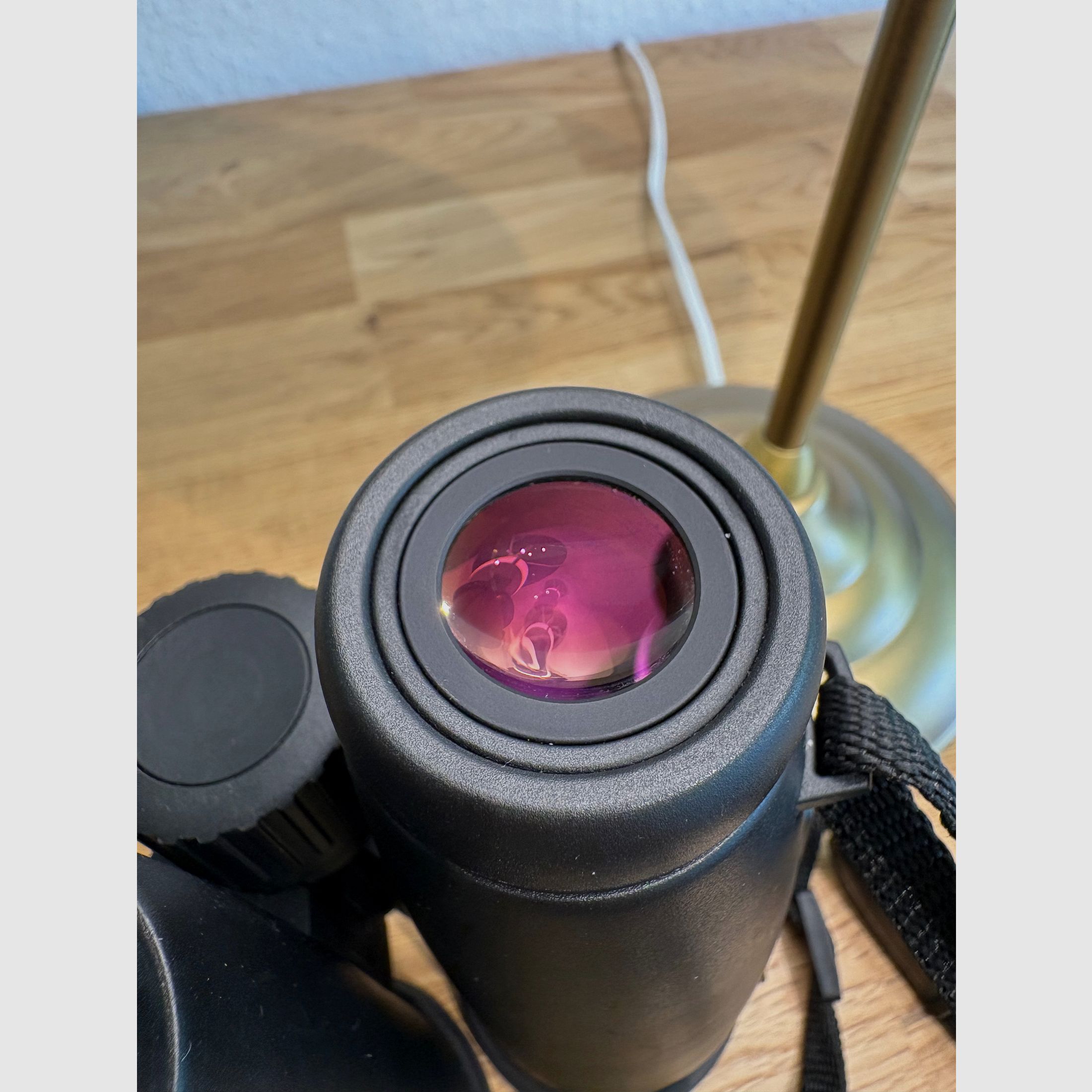 Fernglas Zeiss Victory 10x56 T* FL 