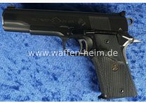 Colt ACE