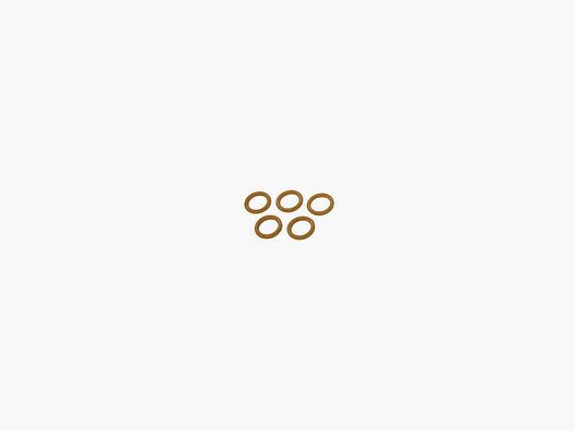 SINCLAIR CHAMBER PLUG O-RING KLEIN 5ER PACK