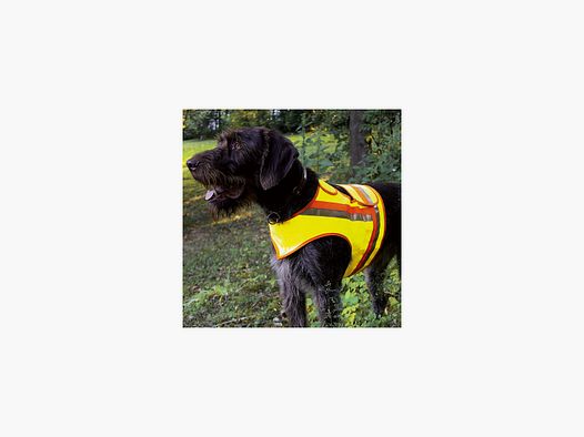 Warnweste für den Hund