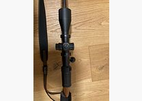 Cz 537 caliber 243Win roe deer rifle
