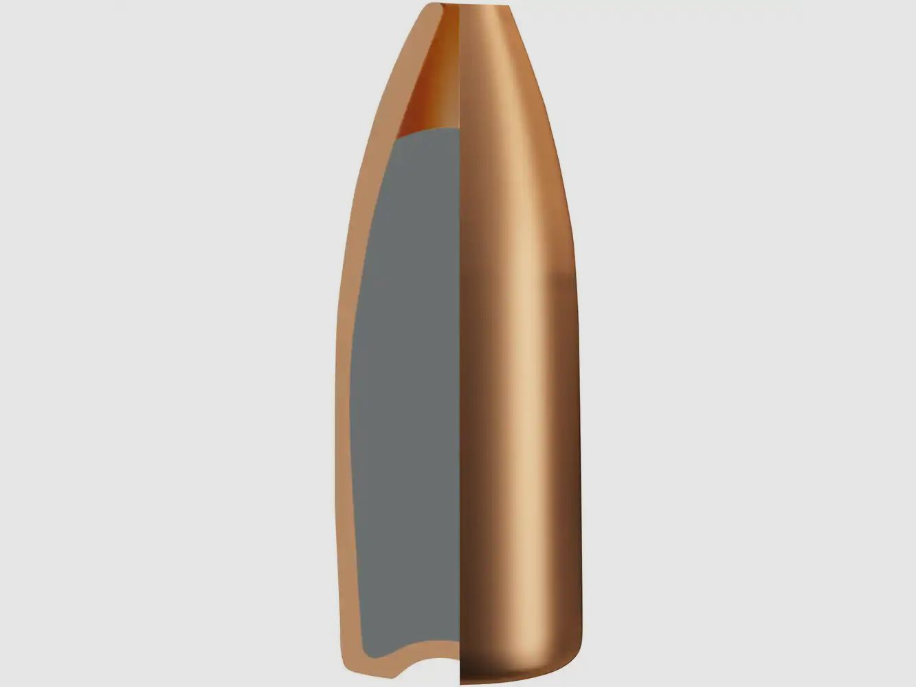 RWS .22 Hornet Match-Jagd 3,0g 46gr 50er
