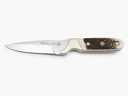 PUMA faun, ciervo