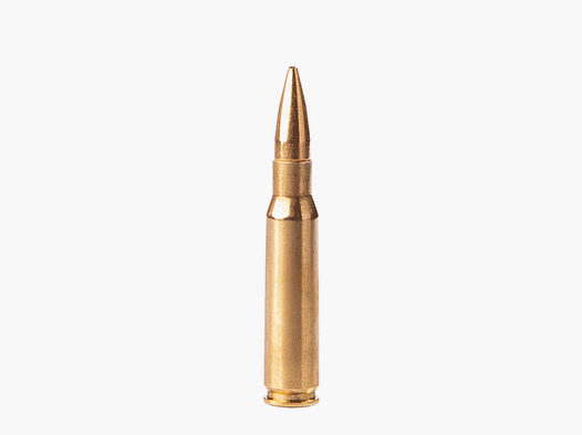 308 Win Fiocchi FMJ 147 gr VE20