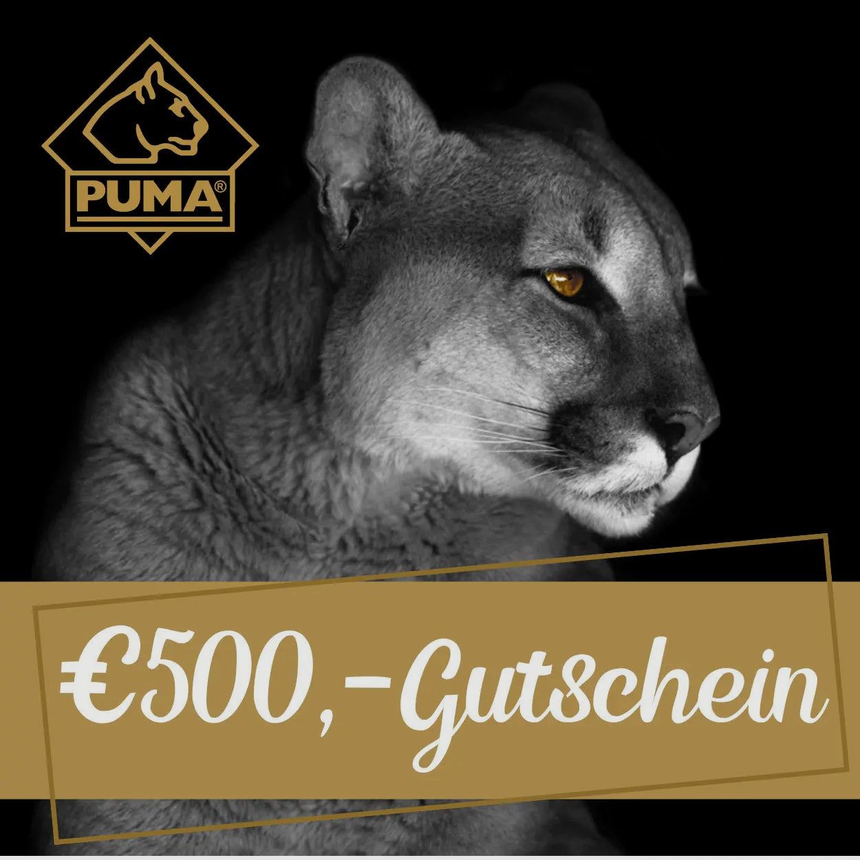 PUMA Geschenkgutschein