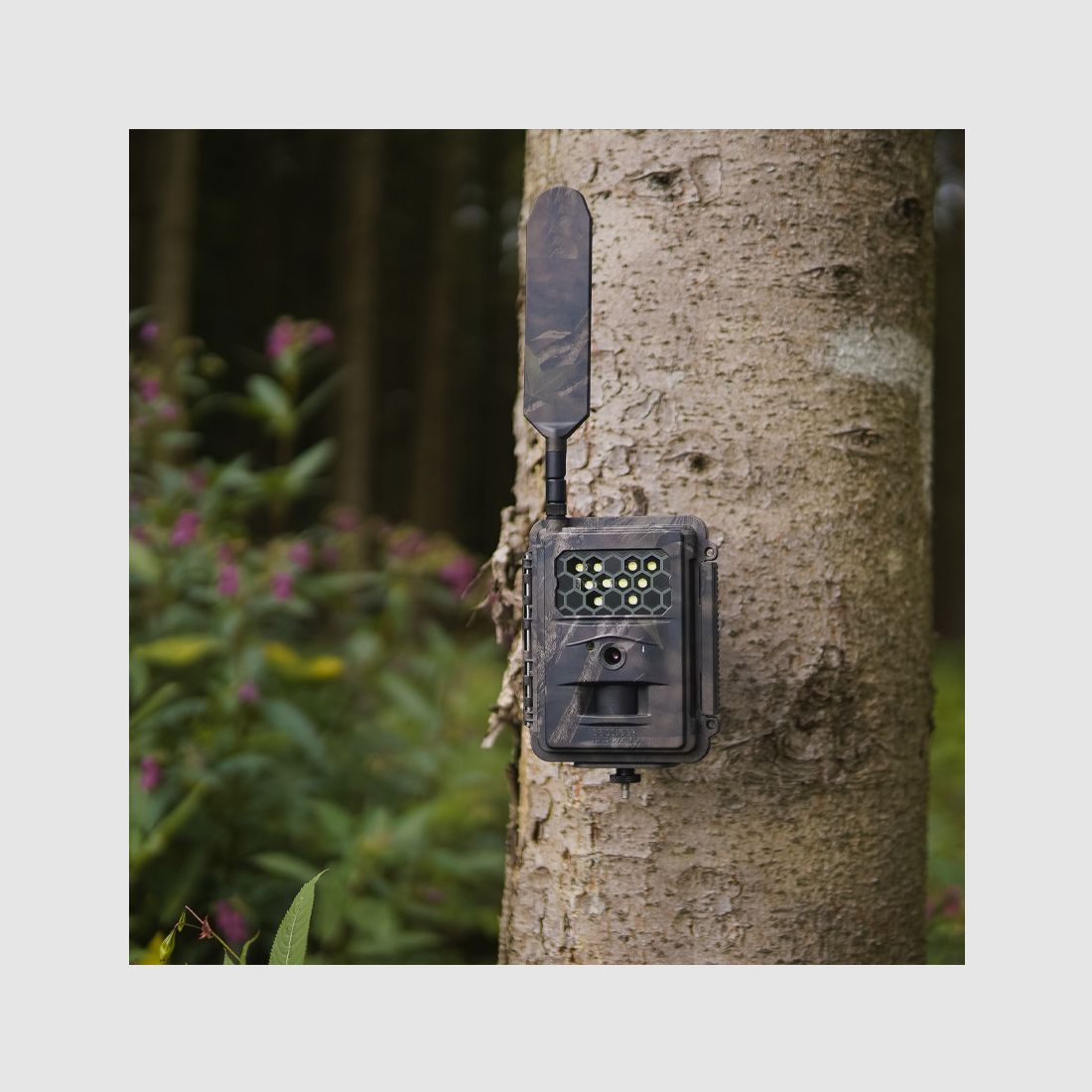 SEISSIGER Special-Cam LTE „Weißblitz“ – SUPERSIM-Edition inclusi batterie