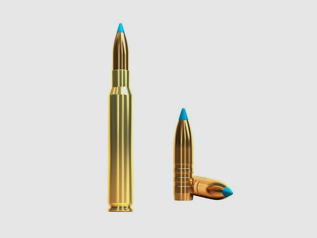 SELLIER & BELLOT 30-06 Sprg TXRG 180grs, image 2 sur 2