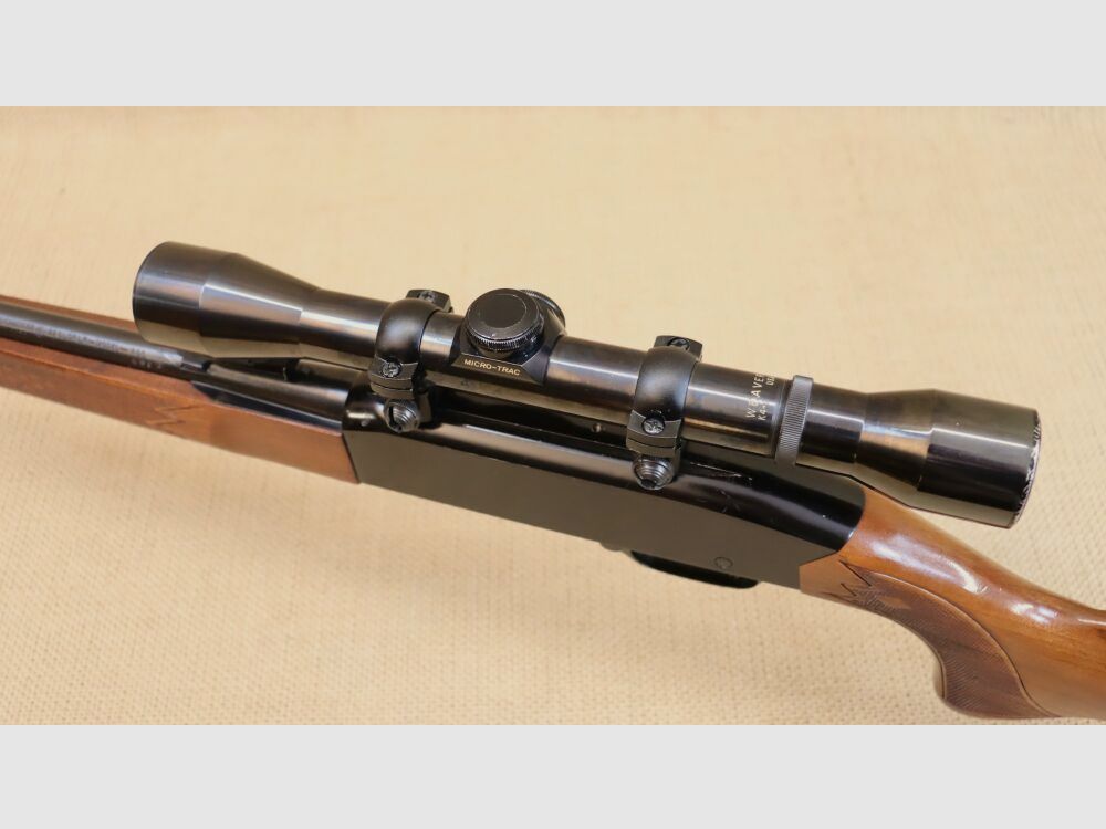 Fucile semiautomatico Winchester 290 .22lr