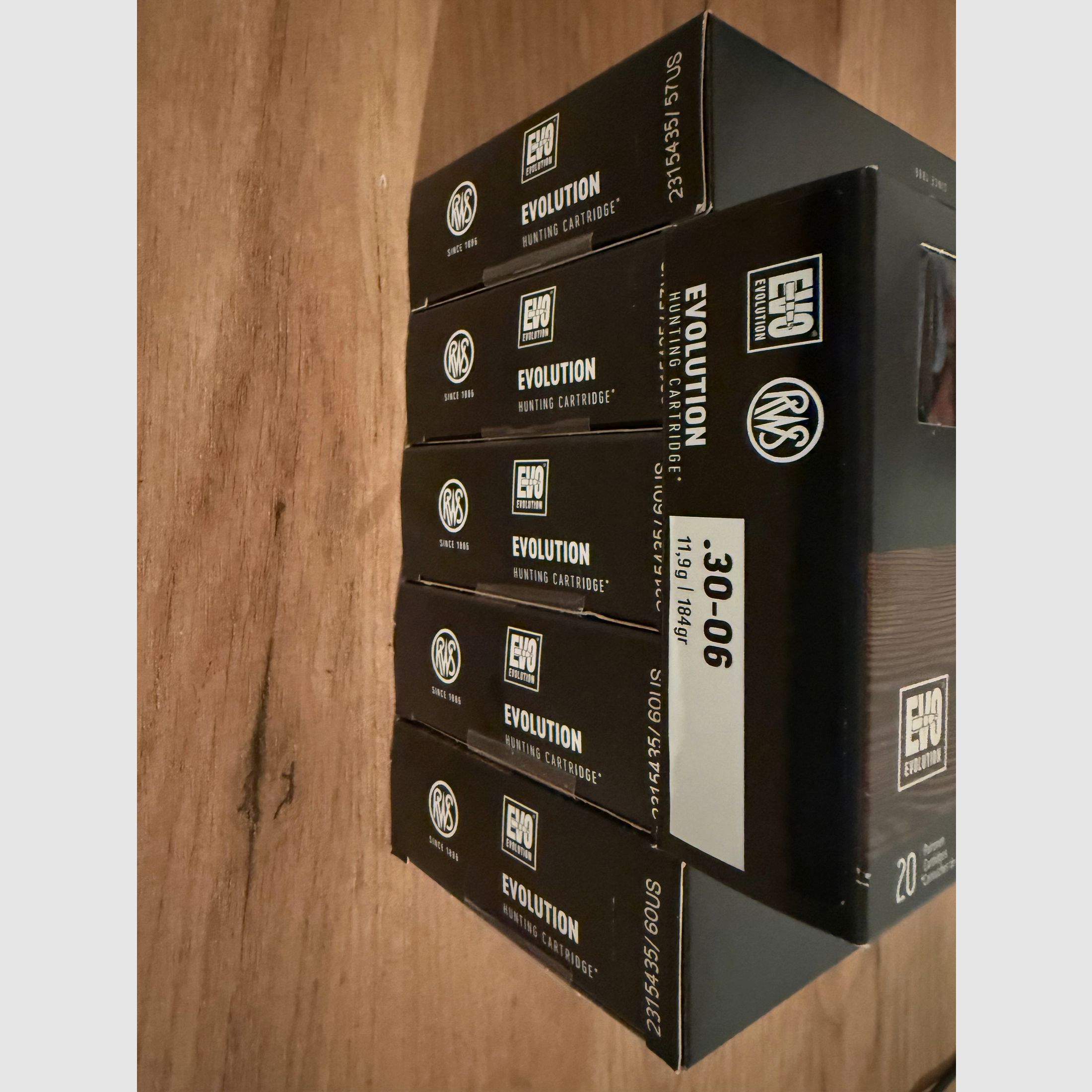 Munition RWS EVOLUTION .30-06 11,9g