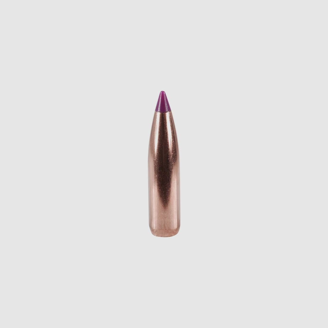 Nosler Geschoss Ballistic Tip Hunting 6mm/.243 95GR Spitzer 50 Stück