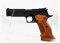 Sig Sauer P210 TARGET