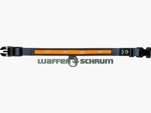Blaser Halsband LED   orange, Nylon