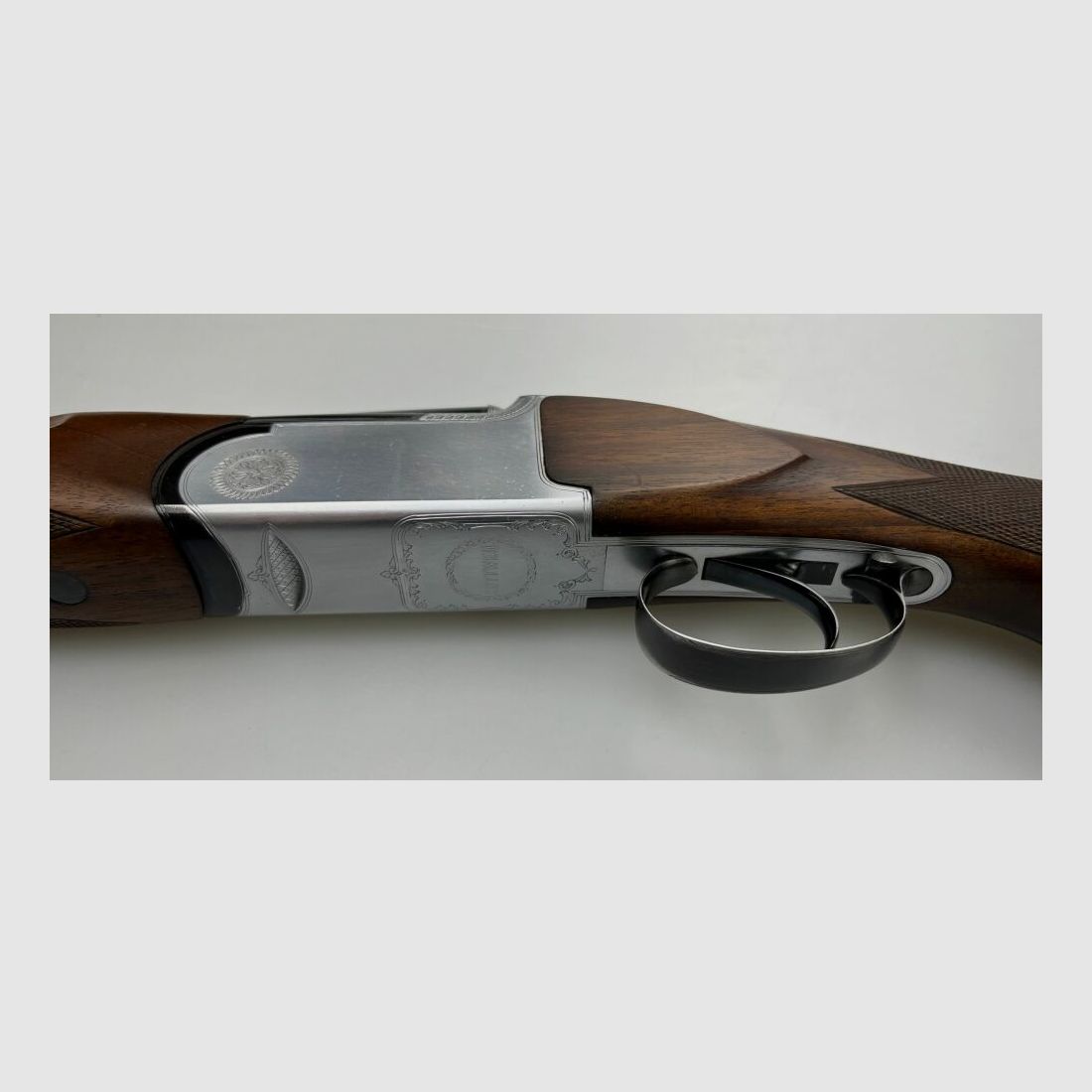 Rottweil Trap Montreal