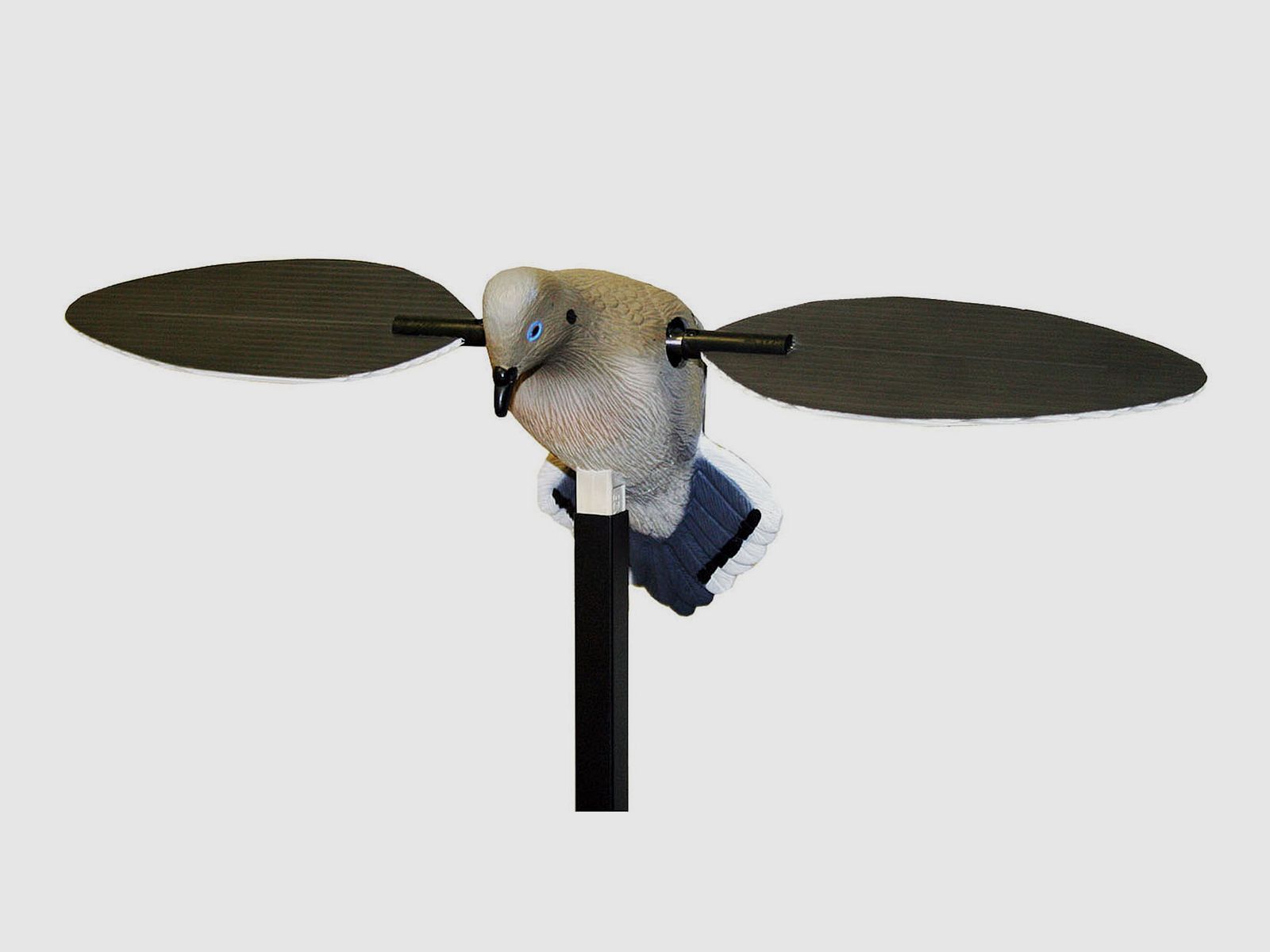 MOJO Voodoo Dove -Taube