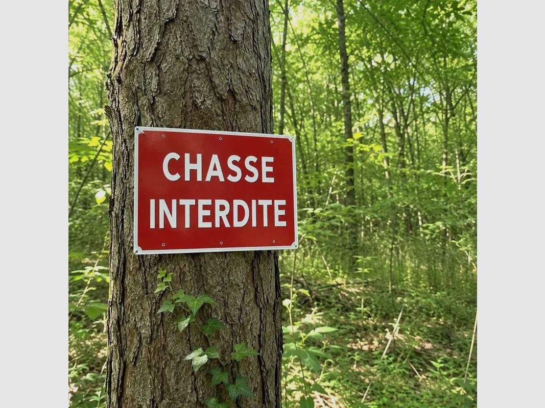 Panneaux Chasse interdite alu 26 × 20 cm – lot de 5, image 1 sur 9