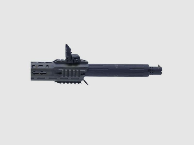 Typhoon Defence Selbstladeflinte (Magazin) Mod. F12 Classic Green DC IPSC 12/76  LL 47cm  Paket II
