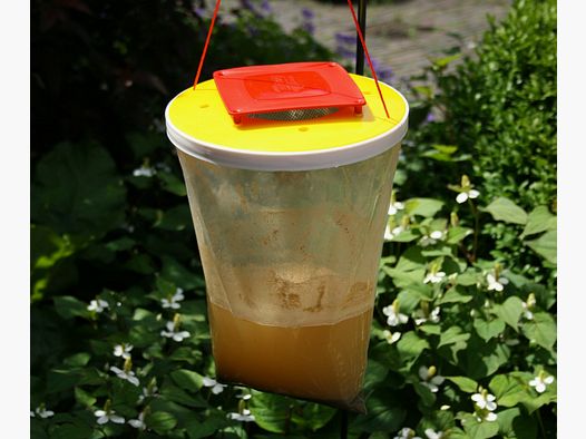 Fly trap