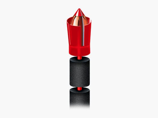 Hornady .50 cal Lock-N-Load Speed Sabot avec .45 cal .452 250 gr SST (10)