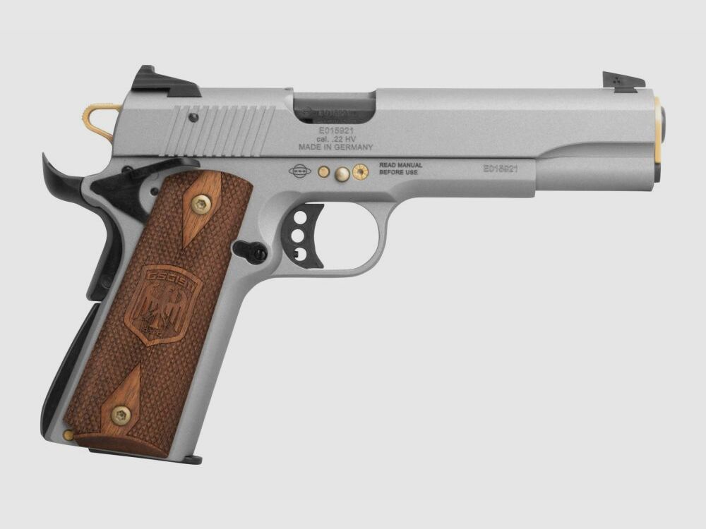 GSG 1911 Frozen Grey