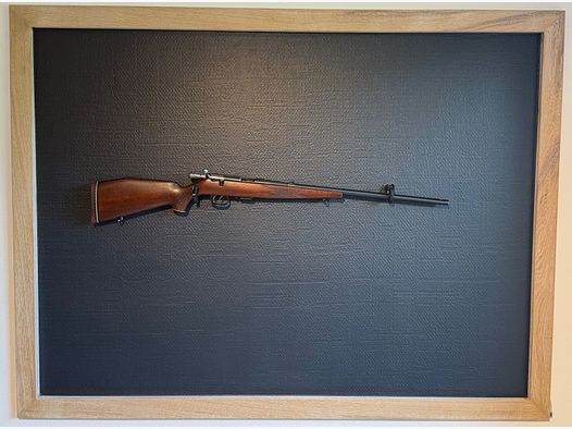 Anschütz Cal. 22 WinMag - État TOP