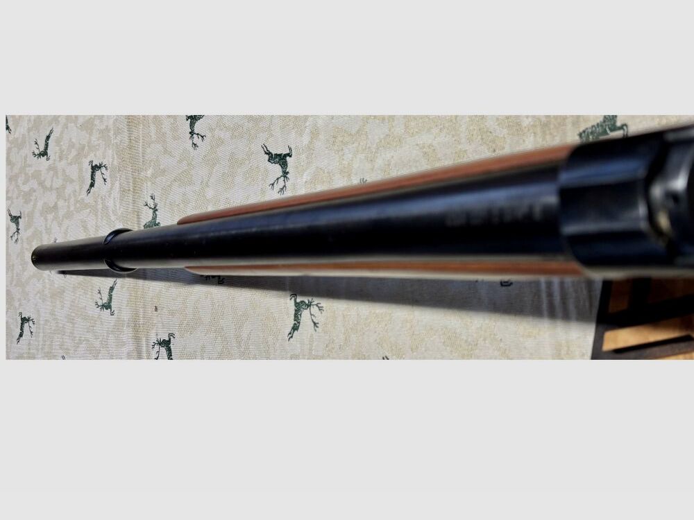 Norinco 1887 12/70