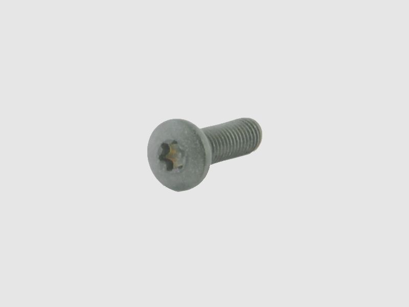 Spuhr Klemmschrauben M5X16 TX20 fr SS Sauer Serie (4er Set)
