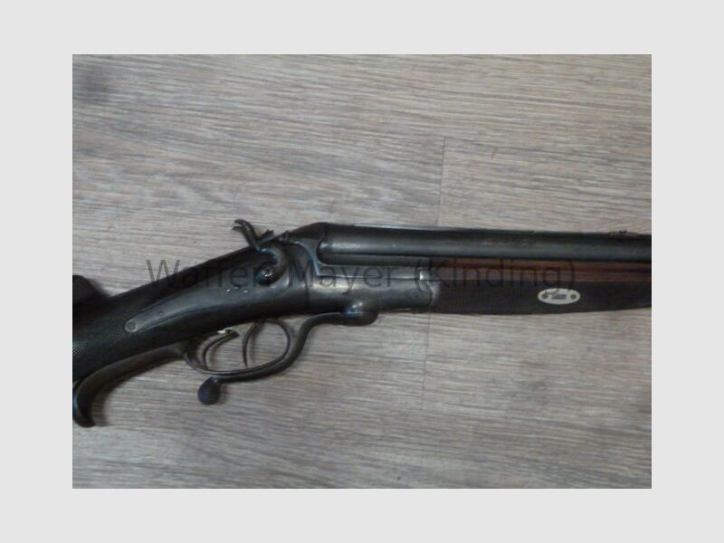 escopeta de perro desconocida