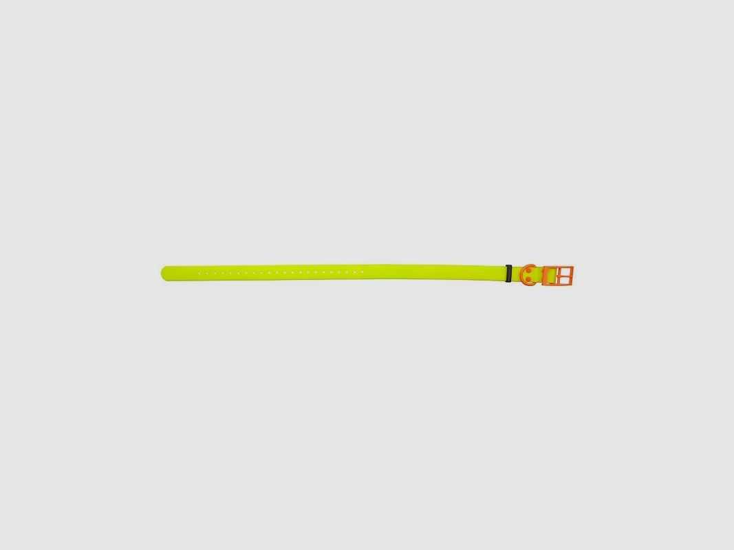 HP&G Collare per cani 19mm Giallo