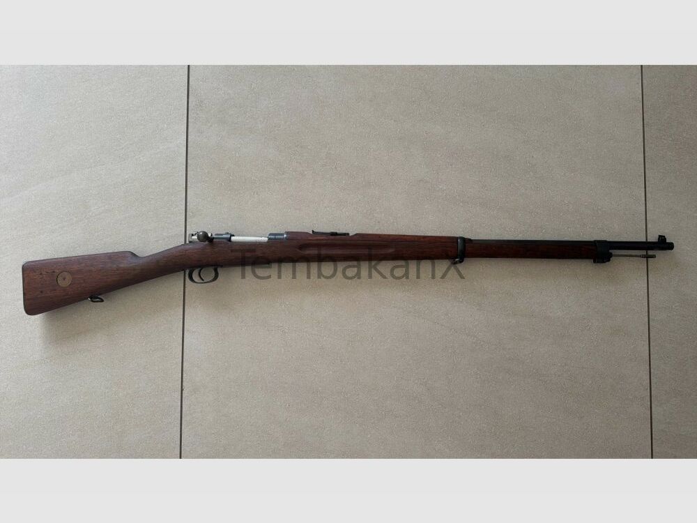 Carl Gustafs Mauser 96 6,5x55SE